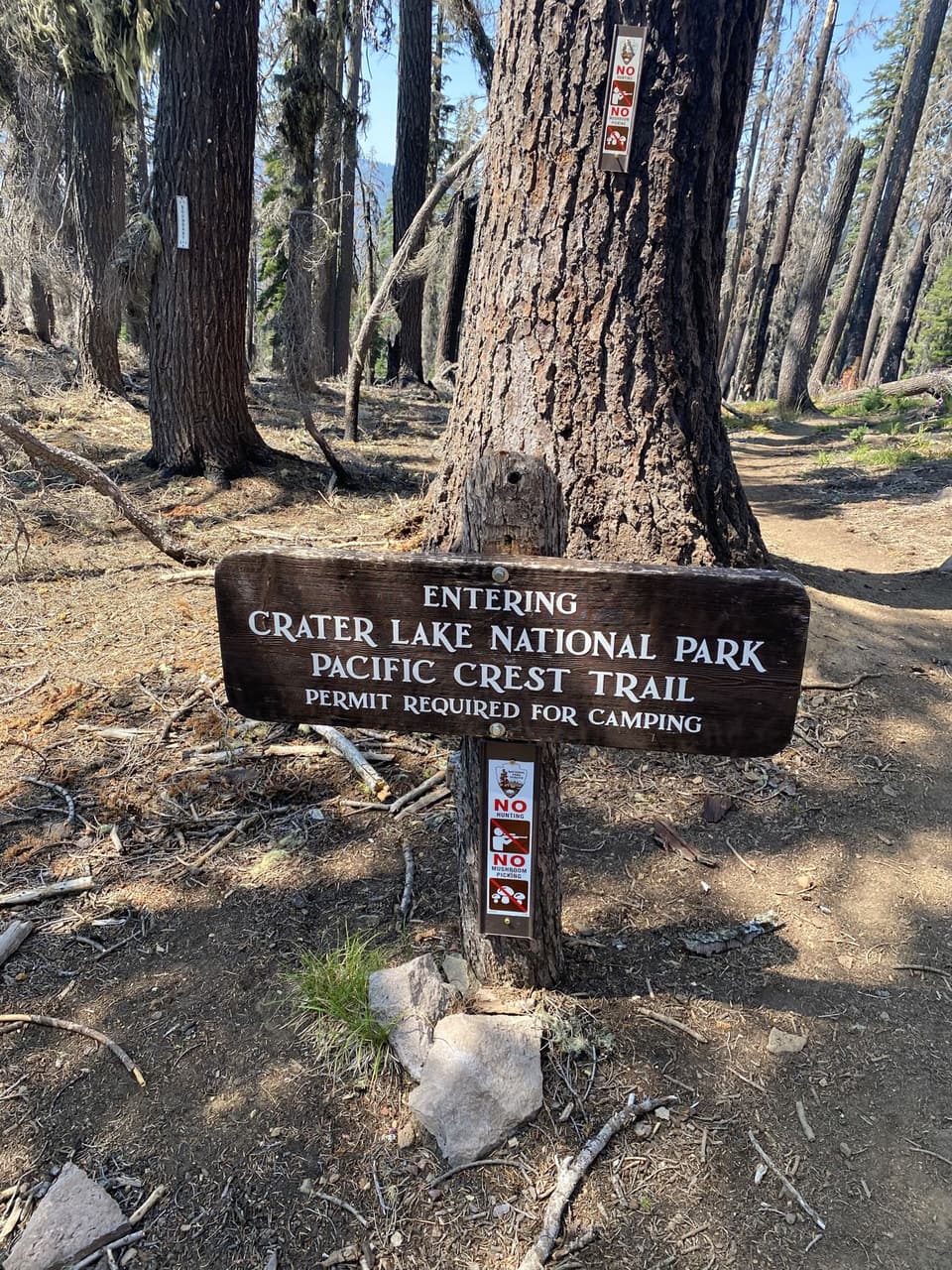 into the park, day 101