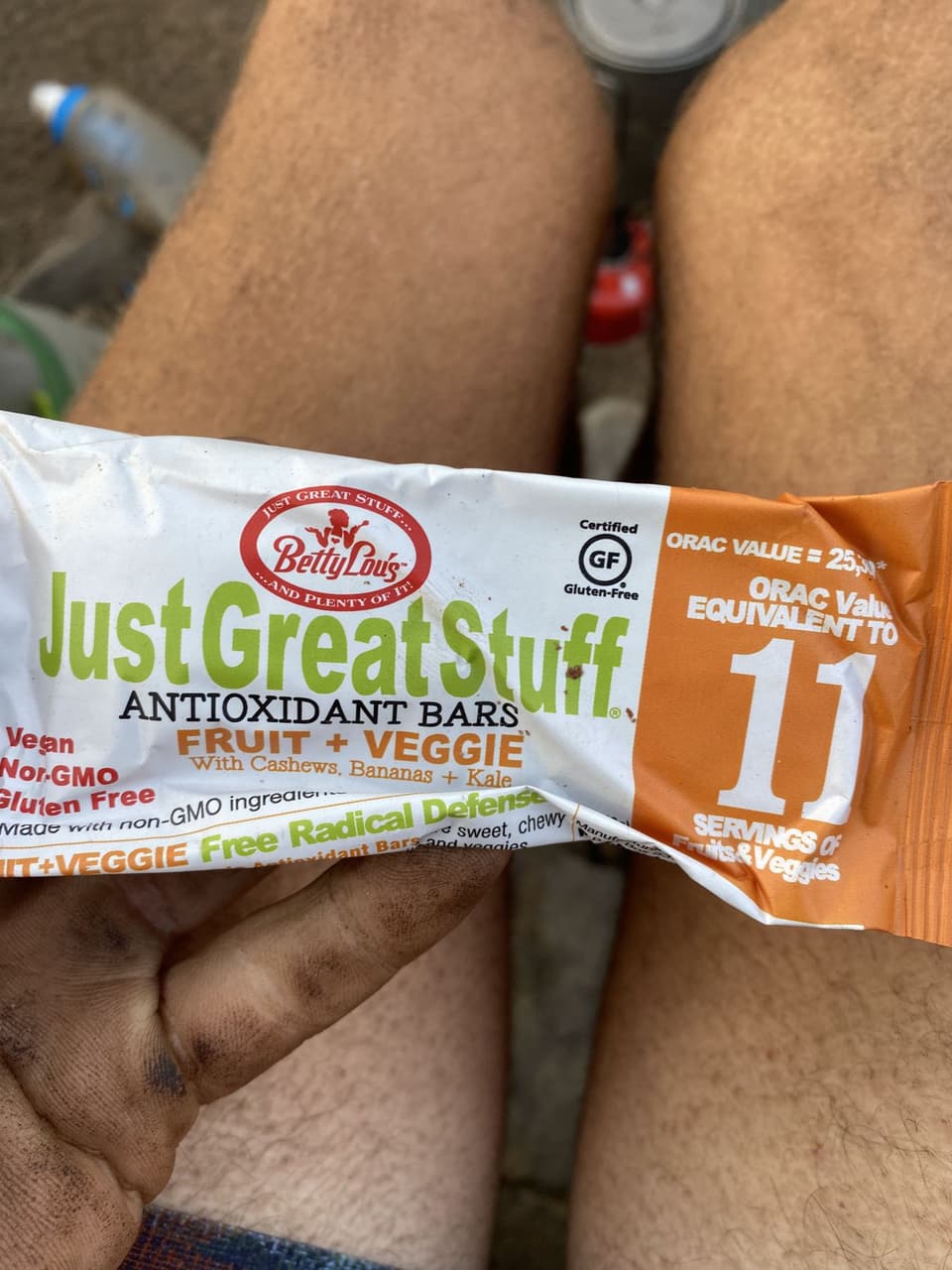 a vegan bar on the rim, day 102