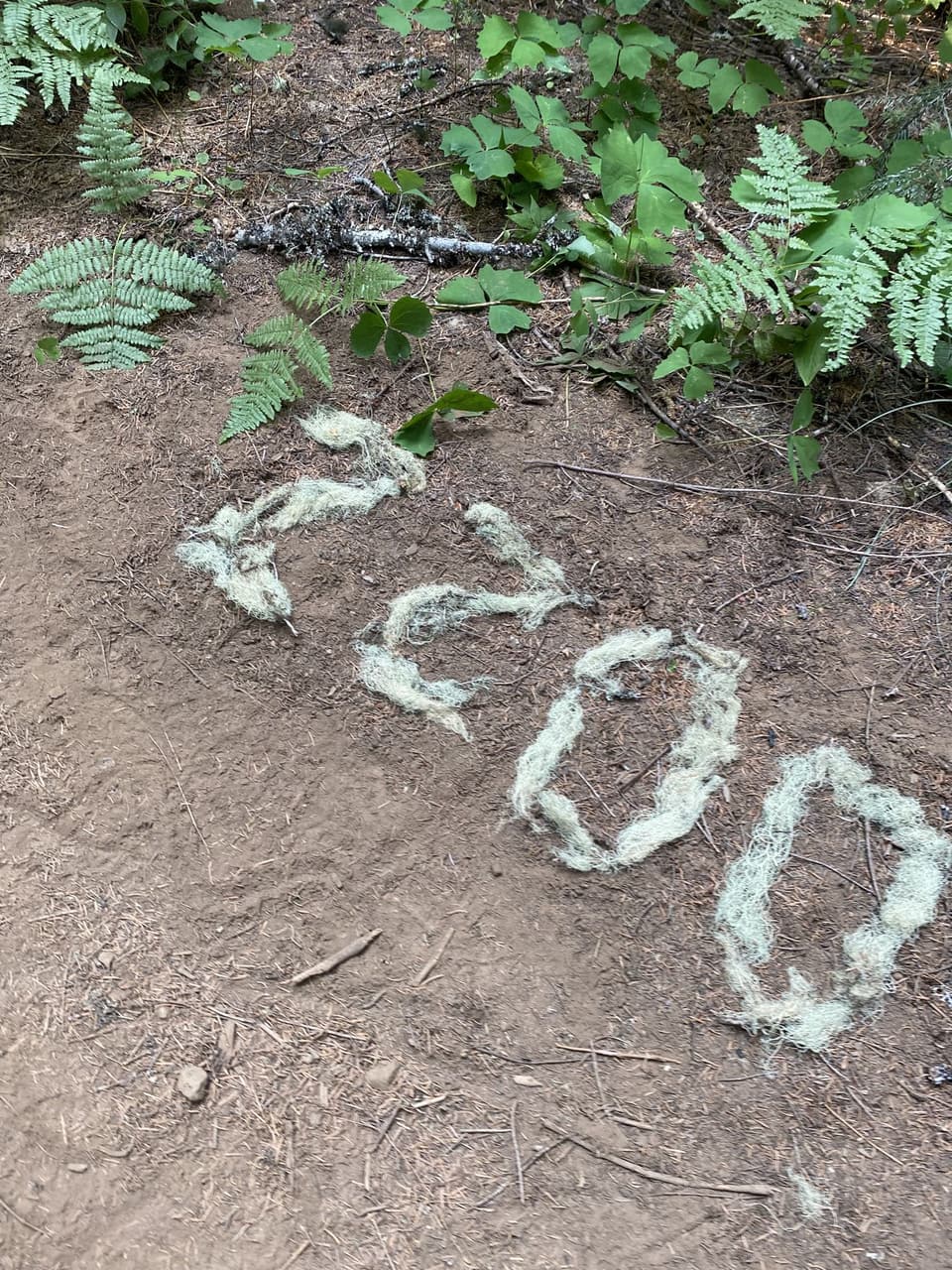 The number 2200 laid out in white moss on the trail